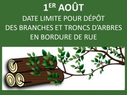 1er août | Date limite pour dépôt des branches et troncs d’arbres en bordure de rue