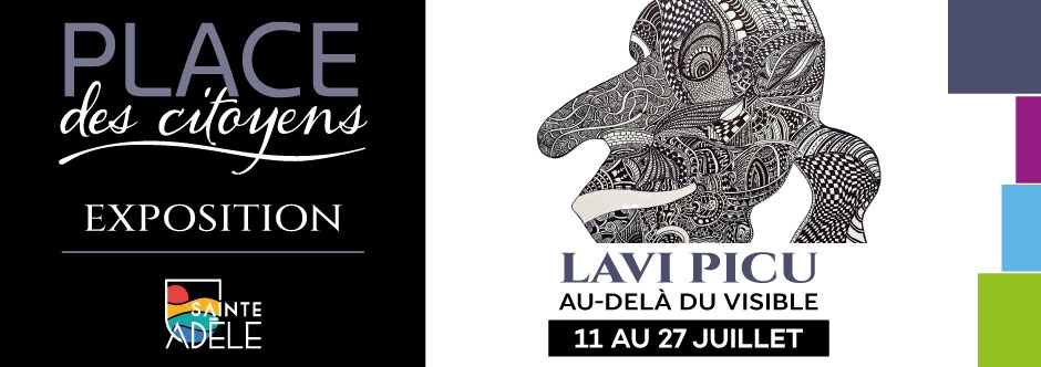Lavi Picu | Au-delà du visible