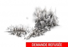 Projet visant l’usage « C03-02-03 Regroupement de chalet en location » sur les lots 2 453 882 et 2 453 883 du cadastre du Québec (voisin du 2364, chemin Deauville)