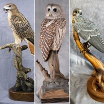 Yvan Dufour | Mémoire aillée, mémoire sculptée