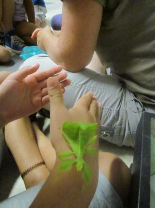IMG-0286.JPG