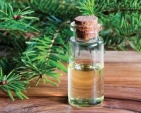 Apportez votre sapin à l'écocentre